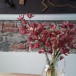 Langhe Di Liguria 住宿加早餐酒店 3*