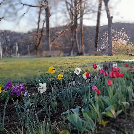 Oda ve Kahvaltı Langhe Di Liguria Piana Crixia
