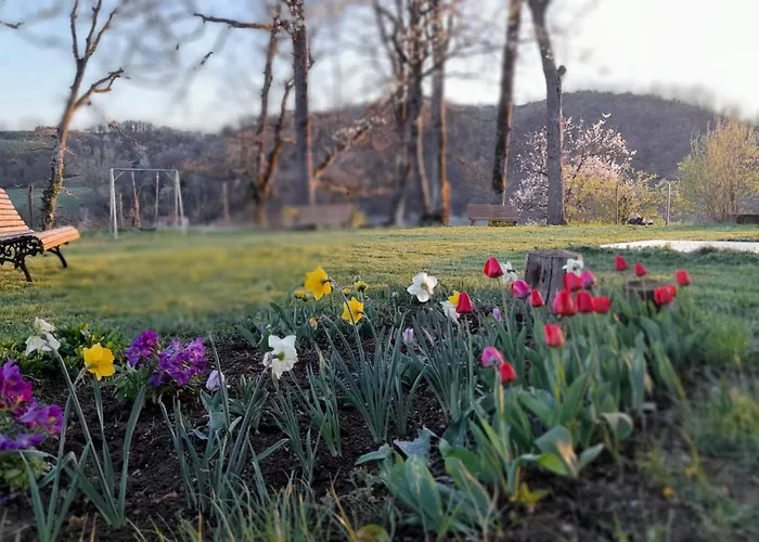 Alojamento de Acomodação e Pequeno-almoço Langhe Di Liguria Piana Crixia